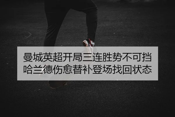 man-cheng-ying-chao-kai-ju-san-lian-sheng-shi-bu-ke-dang-ha-lan-de-shang-yu-ti-bu-deng-chang-zhao-hui-zhuang-tai-2-378.jpg